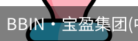 BIN宝盈集团